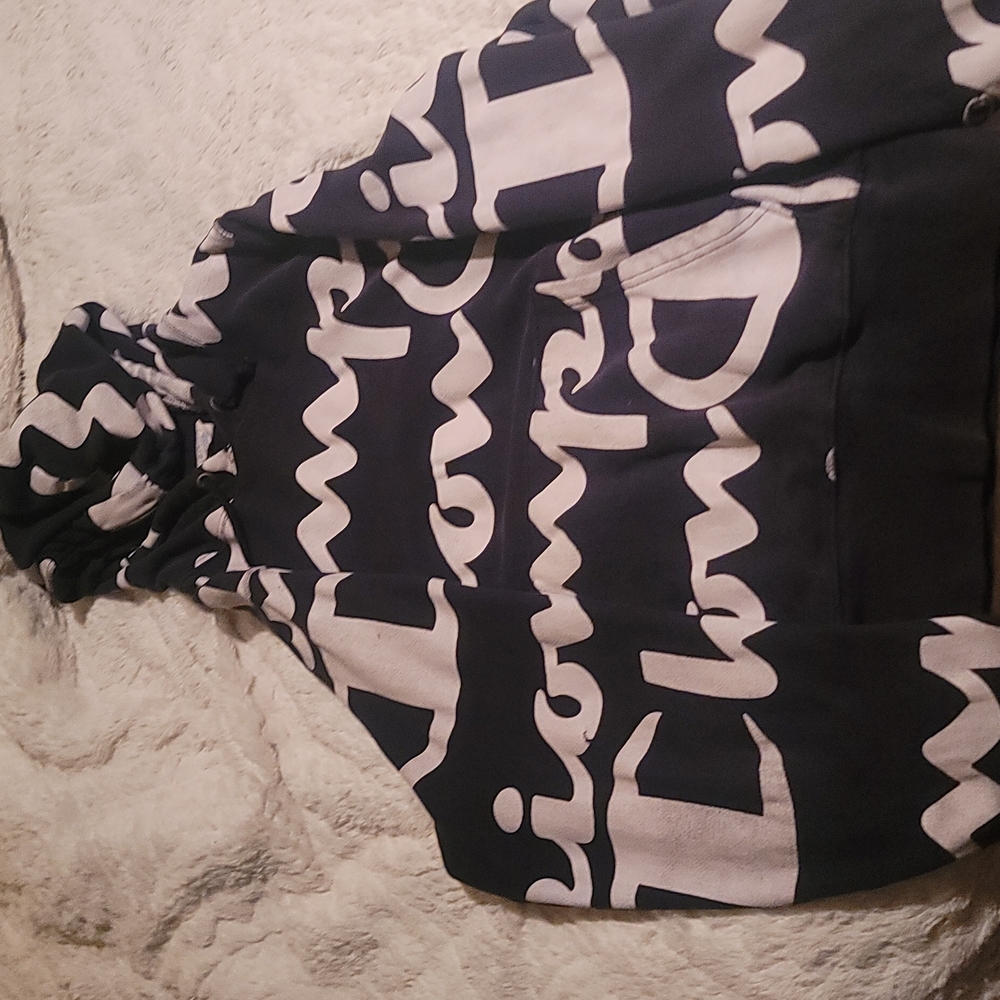 vintage champion hoodie